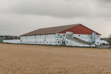Arvid-Varhaug
